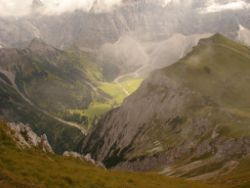 2013-09-08_6Falkenh-Steinfalk (204)06.JPG